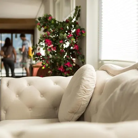 博里瓦奇酒店 4* 采尔马特